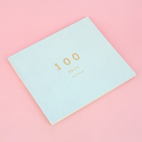 Планнер "100 days" (серый)